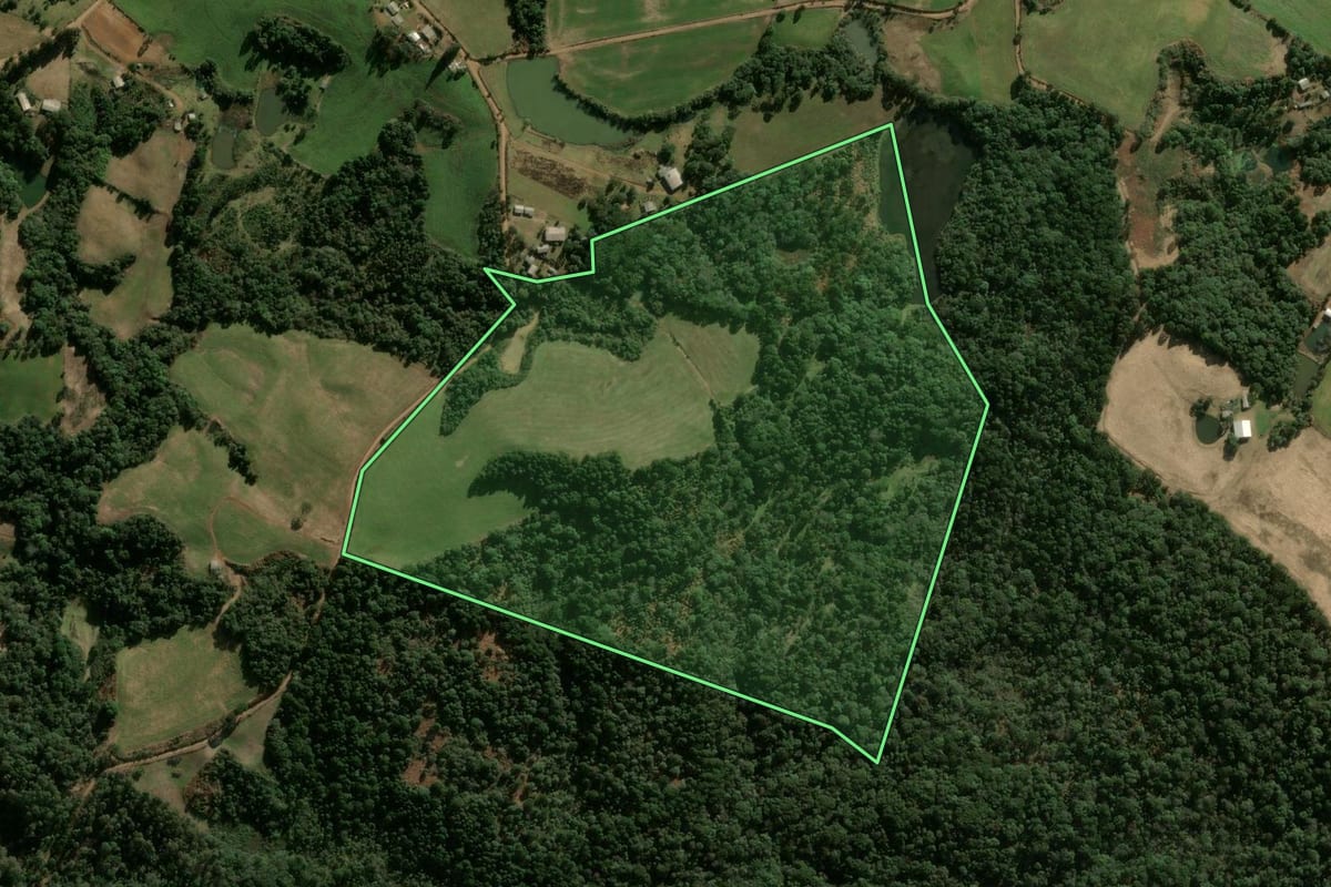 Imagem de satélite do imóvel rural em Abelardo Luz (SC), com o contorno declarado no CAR desenhado por cima.