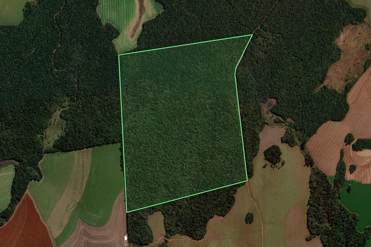 Imagem de satélite do imóvel rural em Abelardo Luz (SC), com o contorno declarado no CAR desenhado por cima.