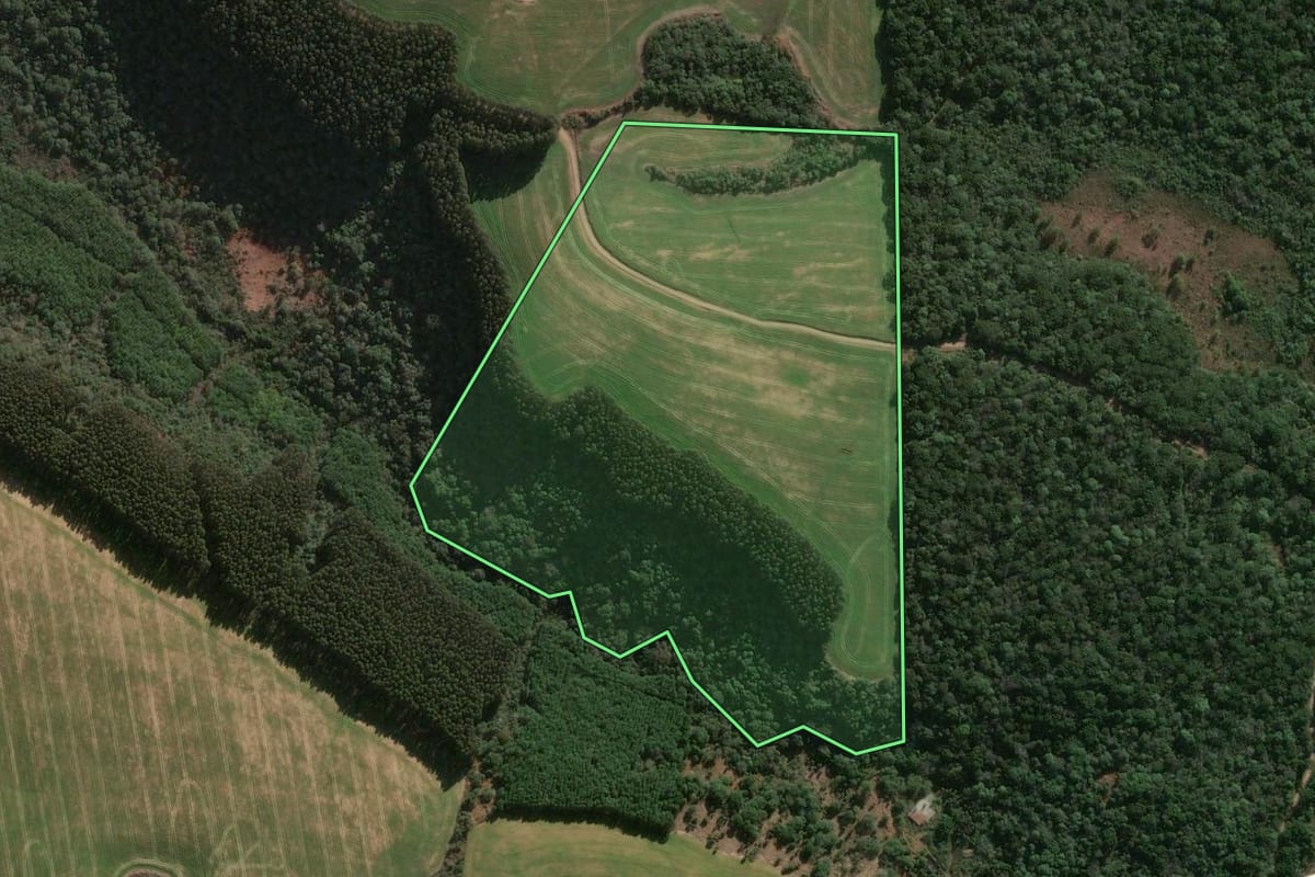 Imagem de satélite do imóvel rural em Abelardo Luz (SC), com o contorno declarado no CAR desenhado por cima.