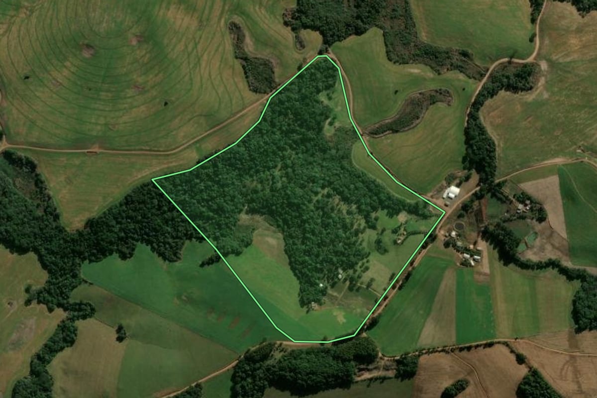 Imagem de satélite do imóvel rural em Abelardo Luz (SC), com o contorno declarado no CAR desenhado por cima.