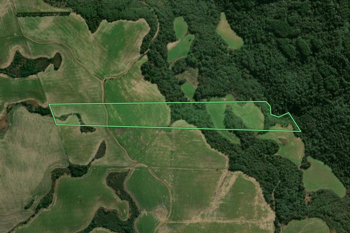 Imagem de satélite do imóvel rural em Abelardo Luz (SC), com o contorno declarado no CAR desenhado por cima.