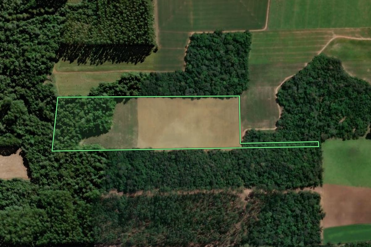 Imagem de satélite do imóvel rural em Agrolândia (SC), com o contorno declarado no CAR desenhado por cima.