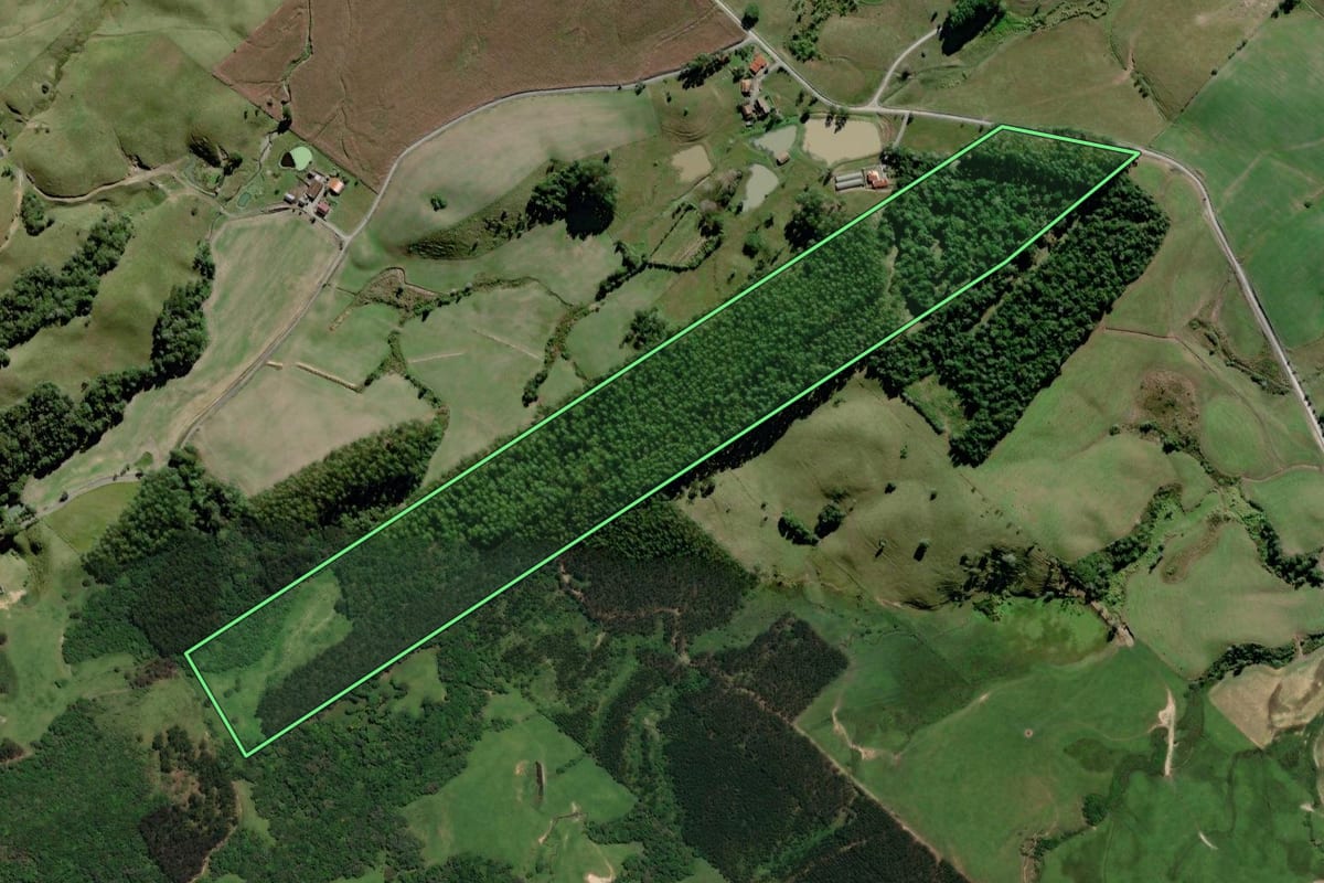 Imagem de satélite do imóvel rural em Agrolândia (SC), com o contorno declarado no CAR desenhado por cima.