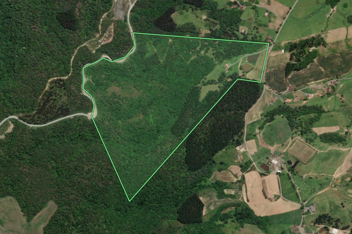 Imagem de satélite do imóvel rural em Agrolândia (SC), com o contorno declarado no CAR desenhado por cima.