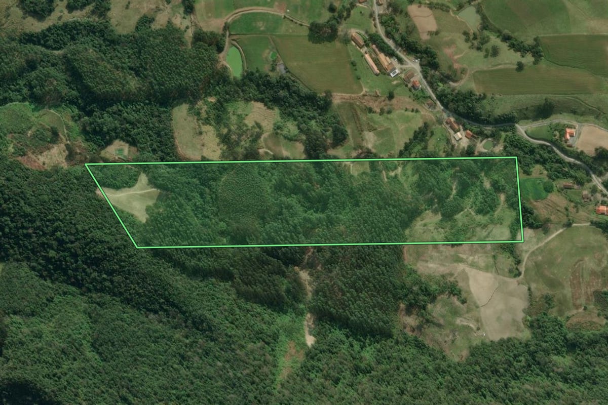 Imagem de satélite do imóvel rural em Agrolândia (SC), com o contorno declarado no CAR desenhado por cima.