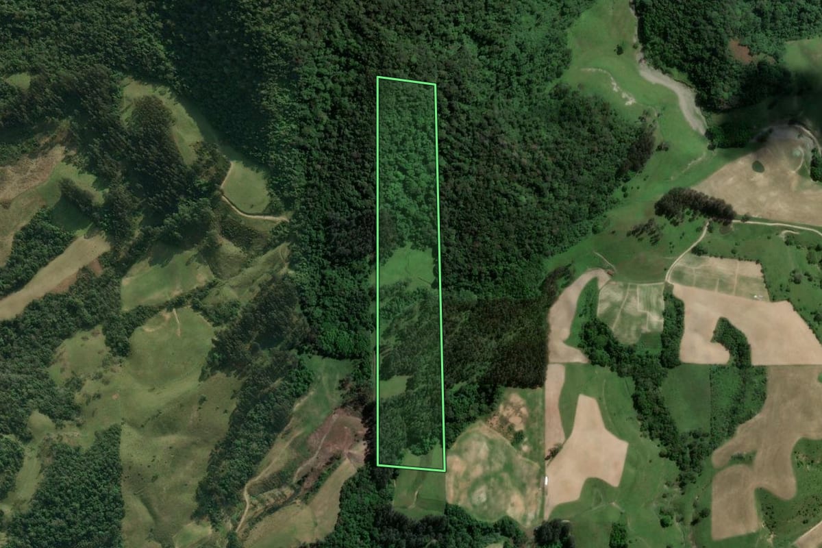 Imagem de satélite do imóvel rural em Agrolândia (SC), com o contorno declarado no CAR desenhado por cima.