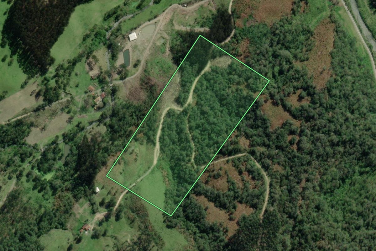 Imagem de satélite do imóvel rural em Agrolândia (SC), com o contorno declarado no CAR desenhado por cima.