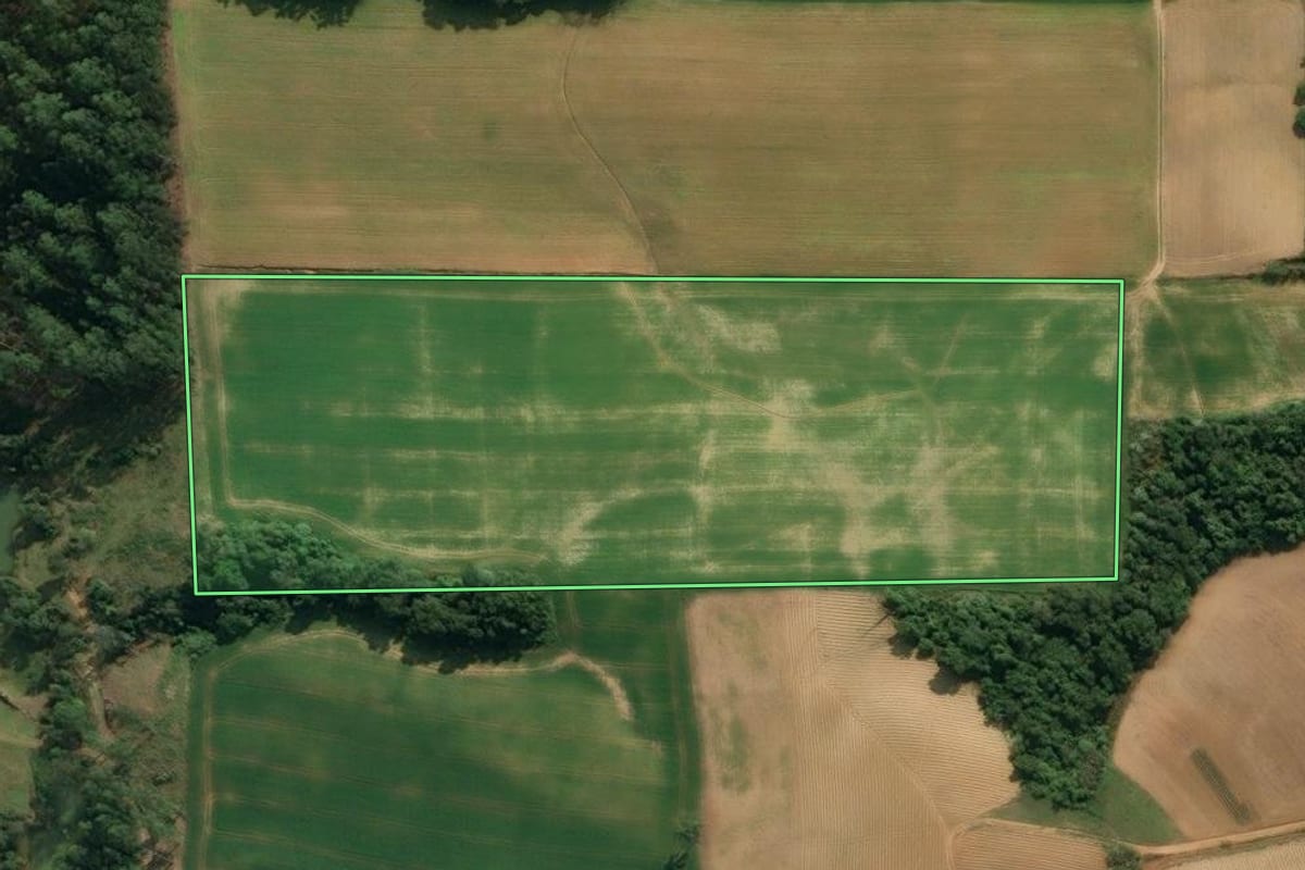 Imagem de satélite do imóvel rural em Agronômica (SC), com o contorno declarado no CAR desenhado por cima.