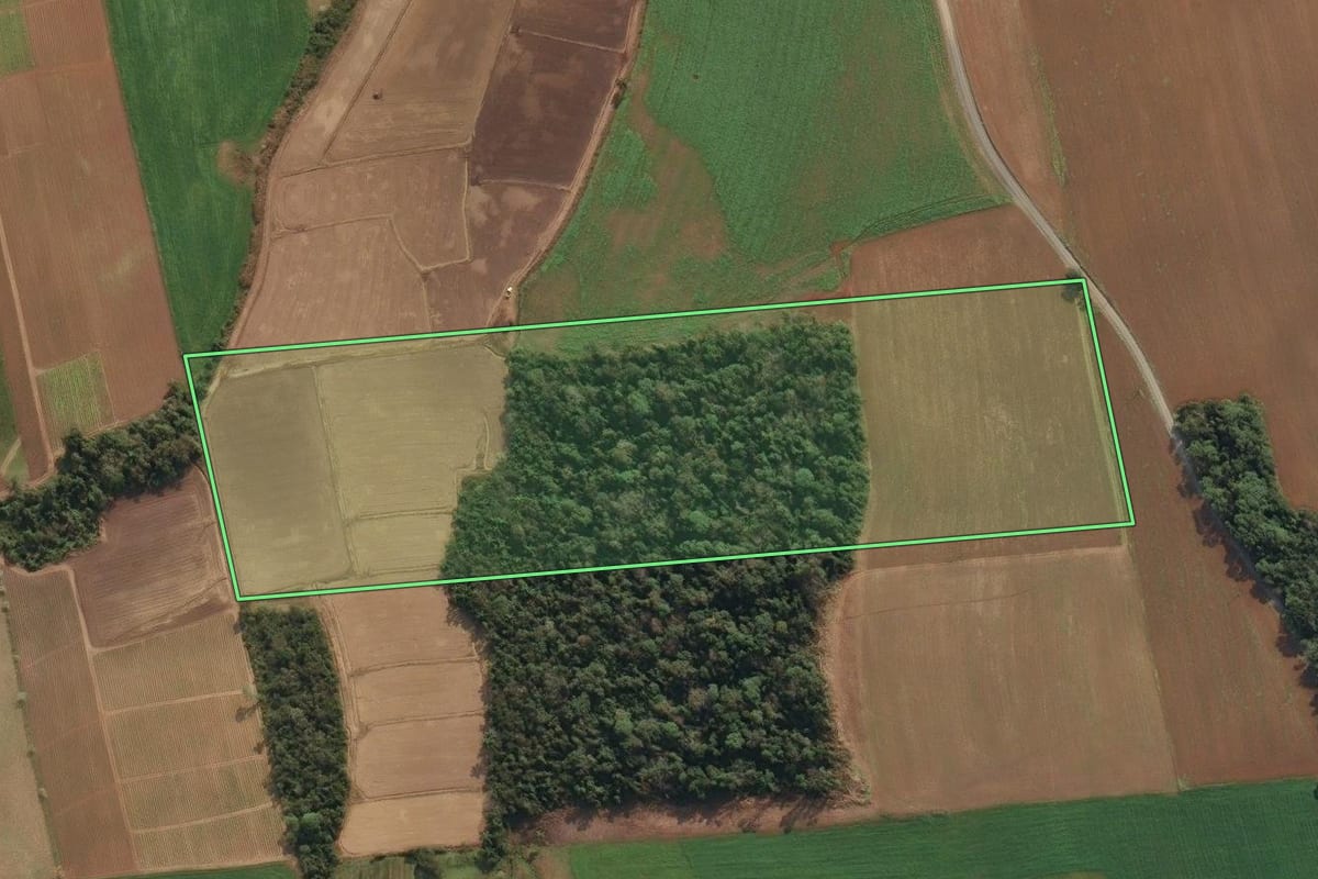 Imagem de satélite do imóvel rural em Agronômica (SC), com o contorno declarado no CAR desenhado por cima.