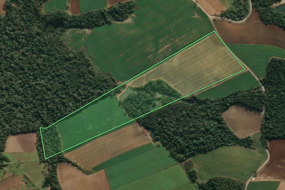 Imagem de satélite do imóvel rural em Agronômica (SC), com o contorno declarado no CAR desenhado por cima.