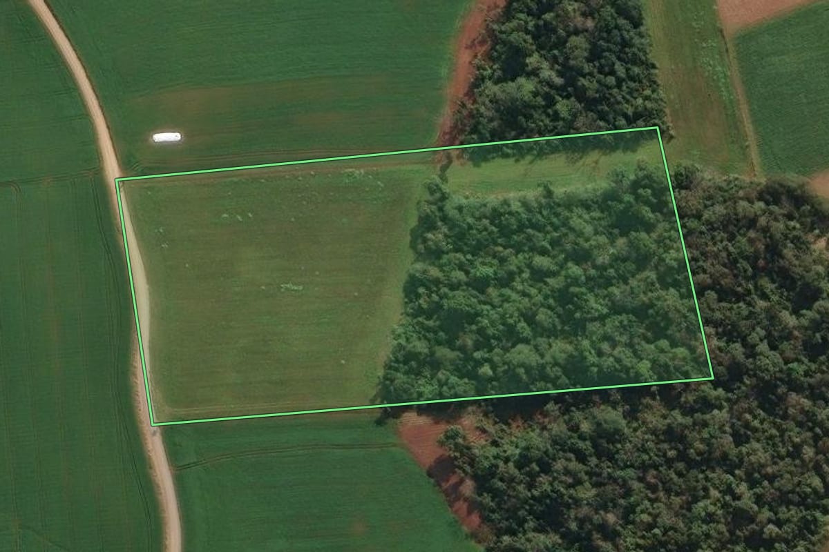 Imagem de satélite do imóvel rural em Agronômica (SC), com o contorno declarado no CAR desenhado por cima.