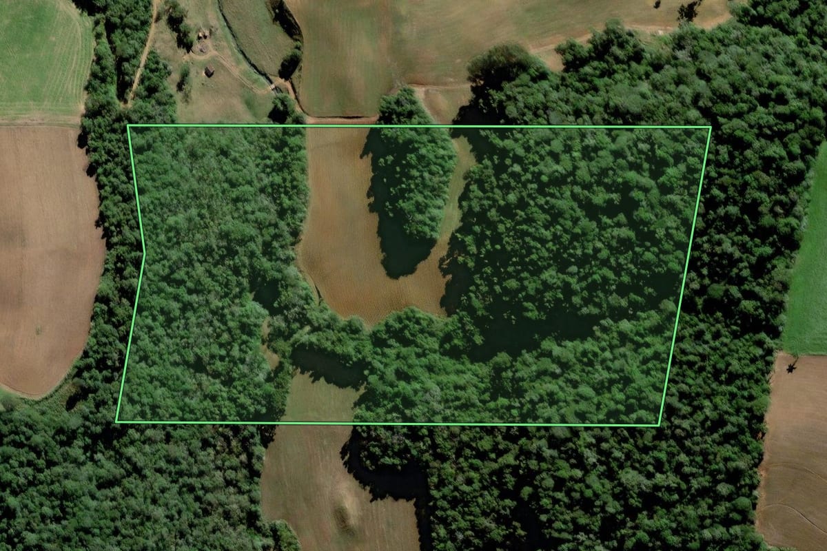 Imagem de satélite do imóvel rural em Agronômica (SC), com o contorno declarado no CAR desenhado por cima.