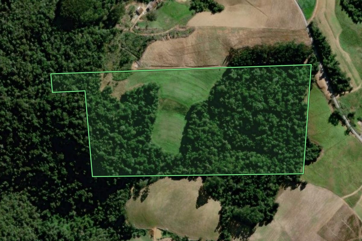 Imagem de satélite do imóvel rural em Agronômica (SC), com o contorno declarado no CAR desenhado por cima.