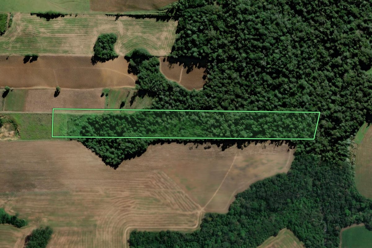Imagem de satélite do imóvel rural em Agronômica (SC), com o contorno declarado no CAR desenhado por cima.