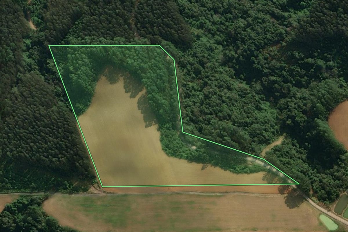 Imagem de satélite do imóvel rural em Agronômica (SC), com o contorno declarado no CAR desenhado por cima.