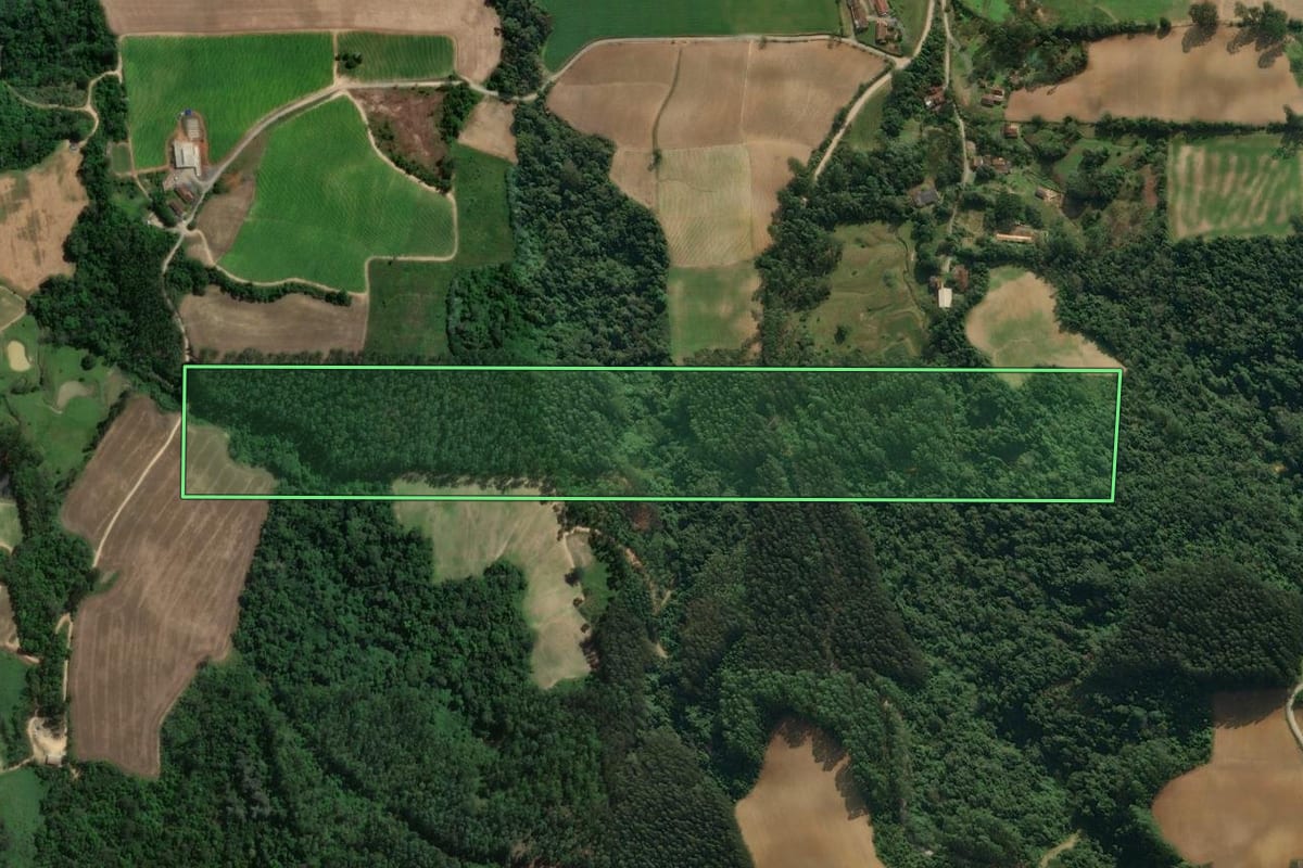 Imagem de satélite do imóvel rural em Agronômica (SC), com o contorno declarado no CAR desenhado por cima.