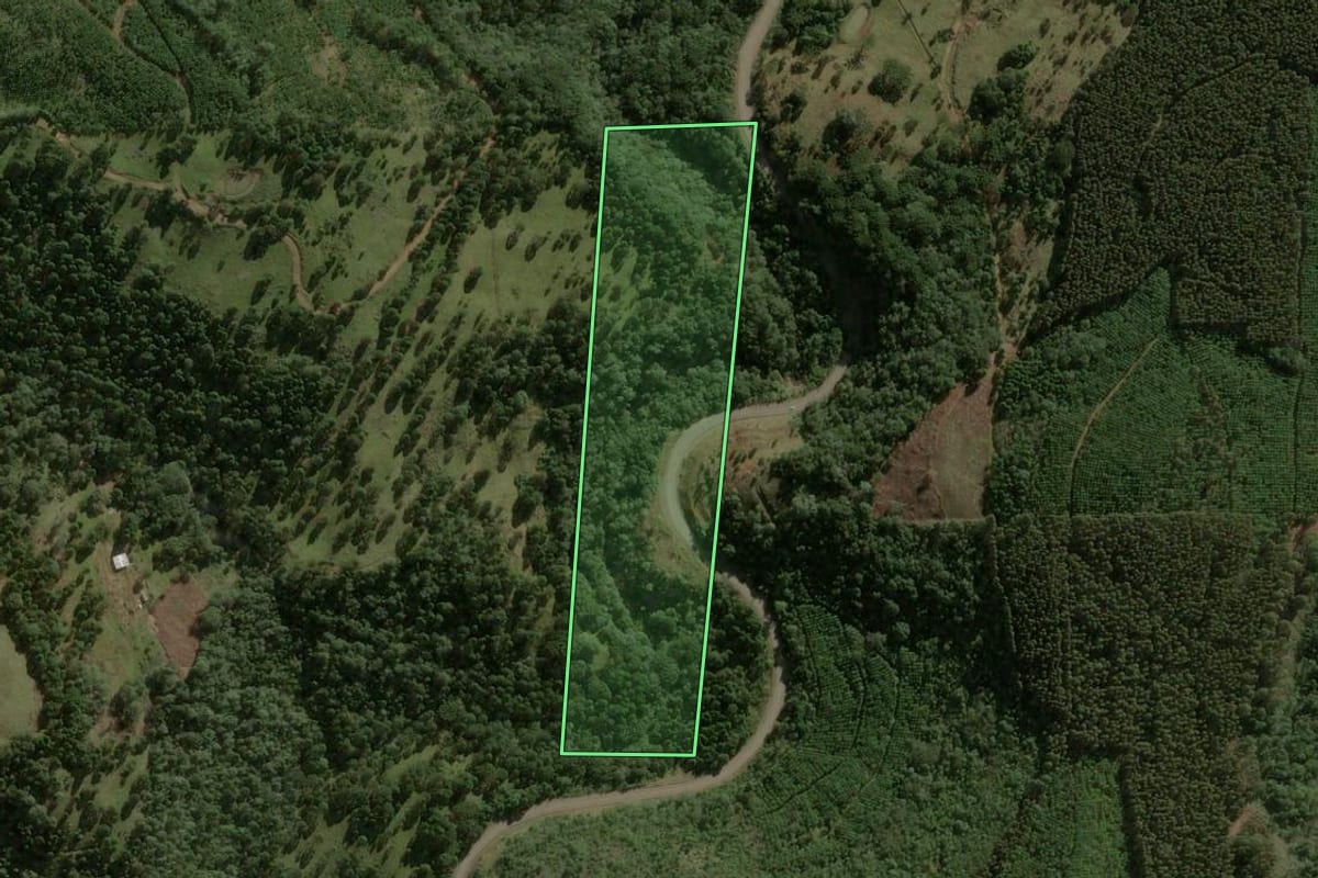 Imagem de satélite do imóvel rural em Água Doce (SC), com o contorno declarado no CAR desenhado por cima.