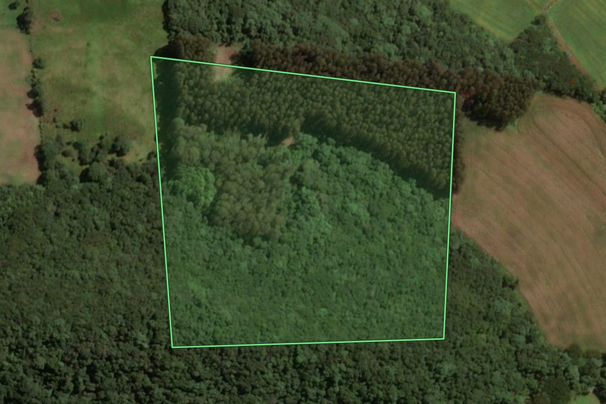 Imagem de satélite do imóvel rural em Água Doce (SC), com o contorno declarado no CAR desenhado por cima.