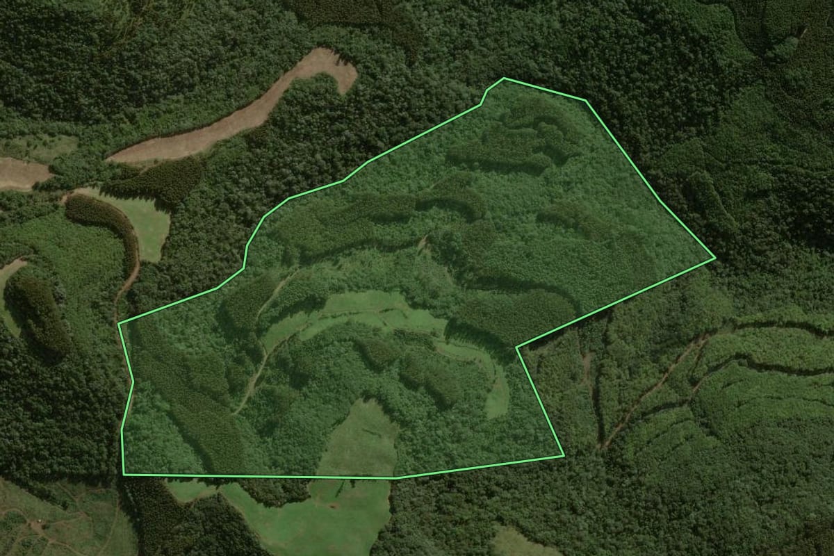 Imagem de satélite do imóvel rural em Água Doce (SC), com o contorno declarado no CAR desenhado por cima.