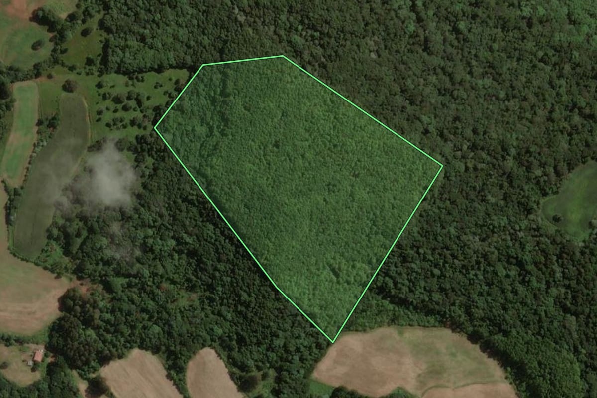 Imagem de satélite do imóvel rural em Água Doce (SC), com o contorno declarado no CAR desenhado por cima.
