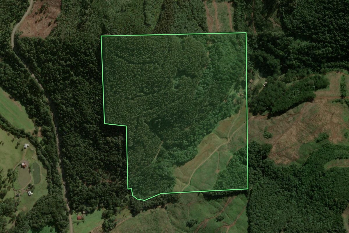 Imagem de satélite do imóvel rural em Água Doce (SC), com o contorno declarado no CAR desenhado por cima.