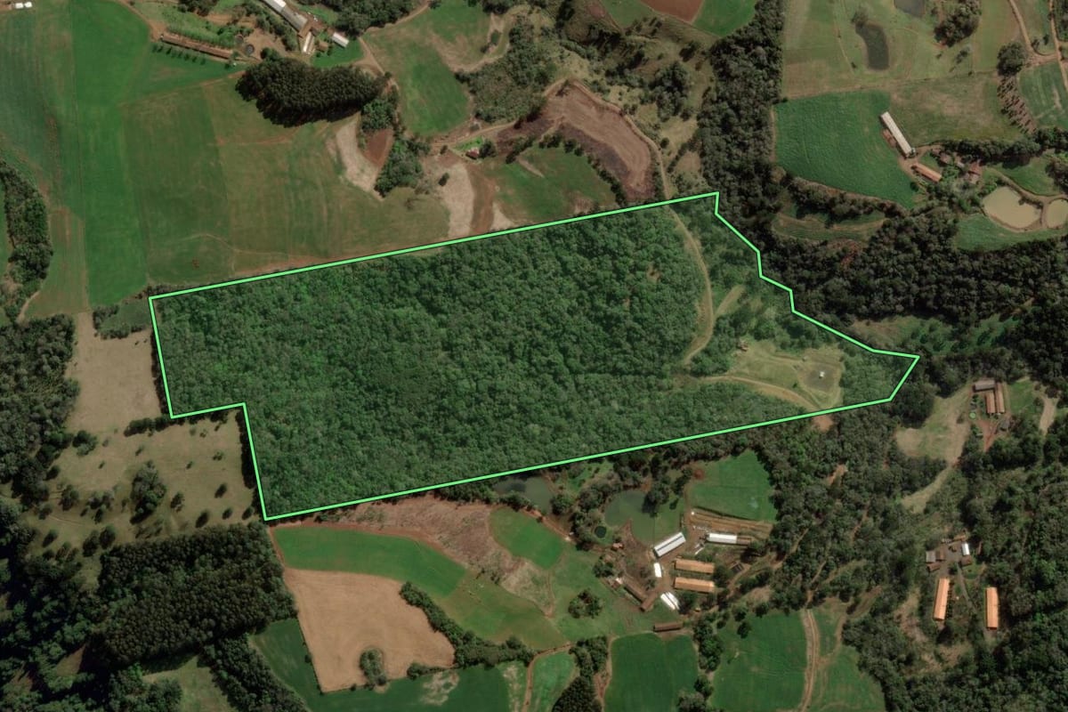 Imagem de satélite do imóvel rural em Água Doce (SC), com o contorno declarado no CAR desenhado por cima.