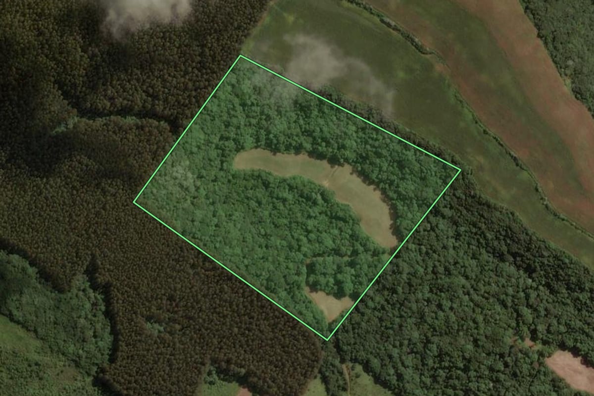 Imagem de satélite do imóvel rural em Água Doce (SC), com o contorno declarado no CAR desenhado por cima.