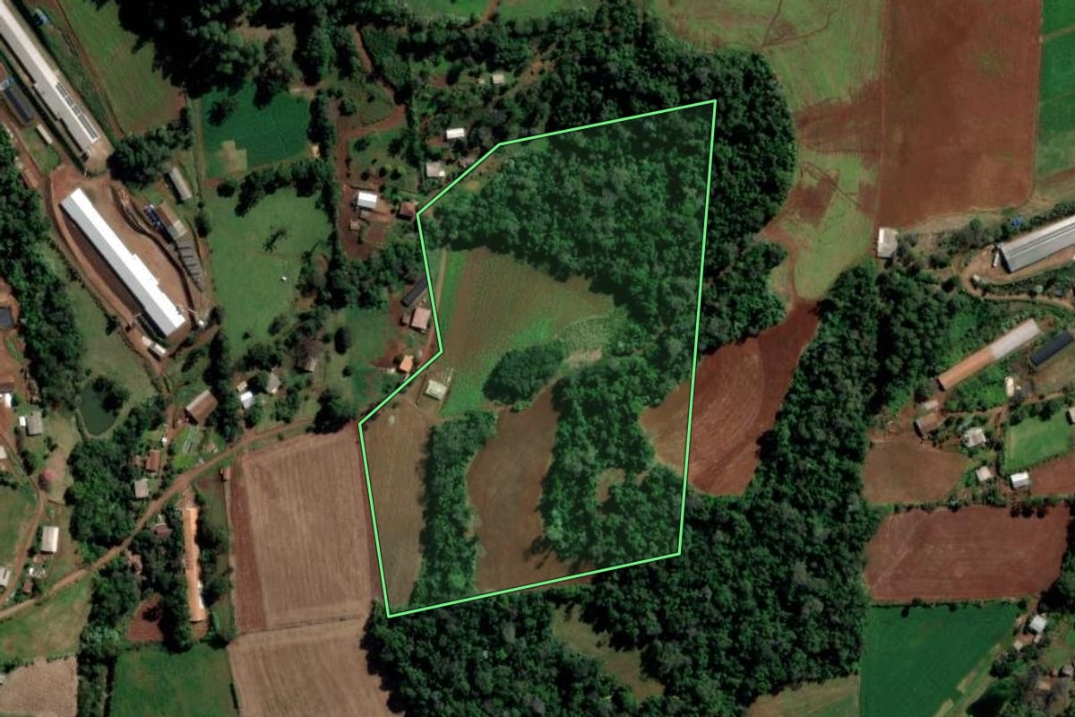 Imagem de satélite do imóvel rural em Águas de Chapecó (SC), com o contorno declarado no CAR desenhado por cima.