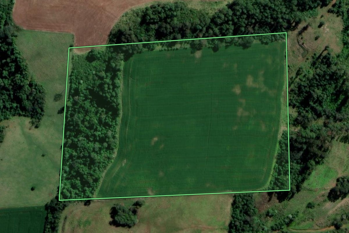Imagem de satélite do imóvel rural em Águas de Chapecó (SC), com o contorno declarado no CAR desenhado por cima.