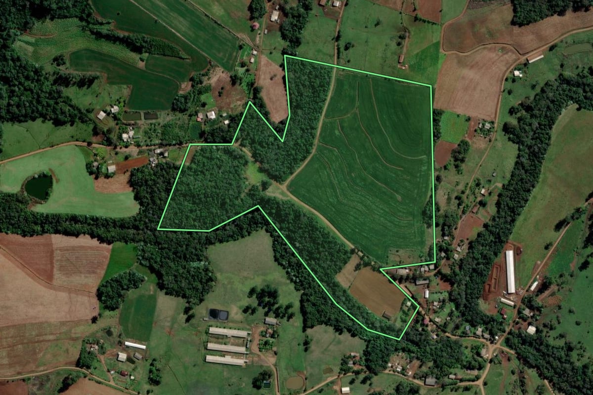 Imagem de satélite do imóvel rural em Águas de Chapecó (SC), com o contorno declarado no CAR desenhado por cima.