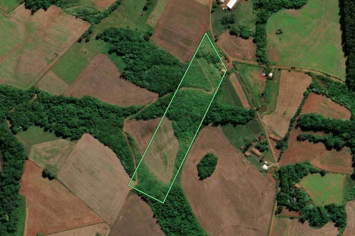 Imagem de satélite do imóvel rural em Águas de Chapecó (SC), com o contorno declarado no CAR desenhado por cima.