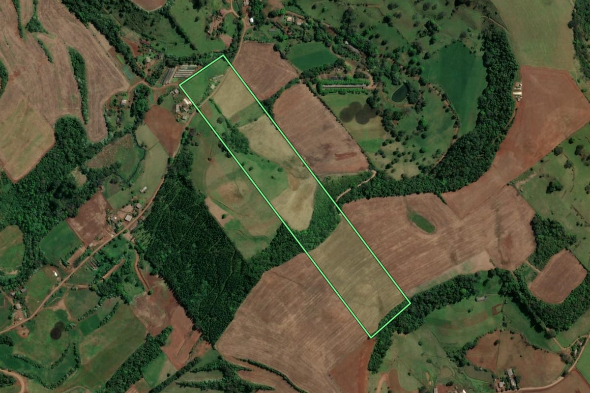 Imagem de satélite do imóvel rural em Águas Frias (SC), com o contorno declarado no CAR desenhado por cima.