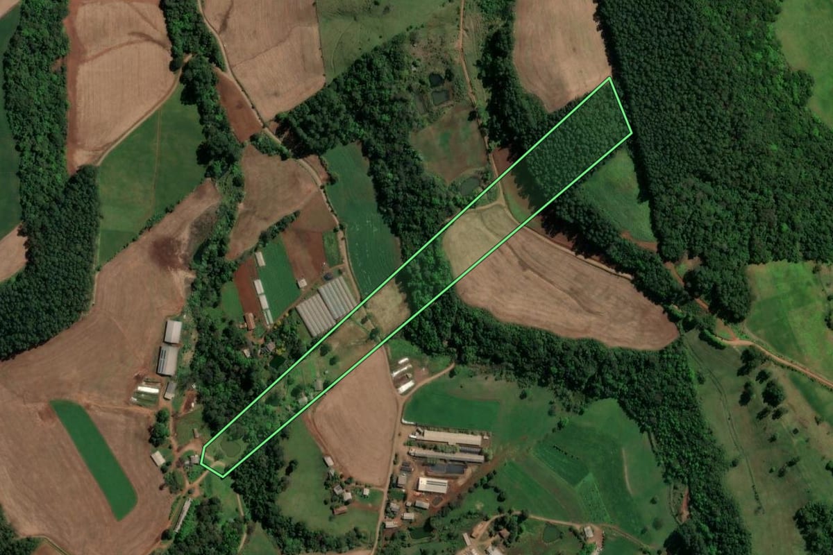 Imagem de satélite do imóvel rural em Águas Frias (SC), com o contorno declarado no CAR desenhado por cima.