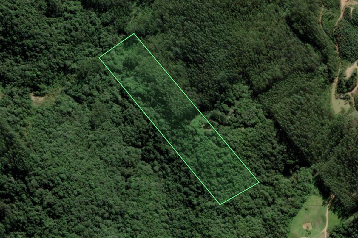 Imagem de satélite do imóvel rural em Águas Mornas (SC), com o contorno declarado no CAR desenhado por cima.