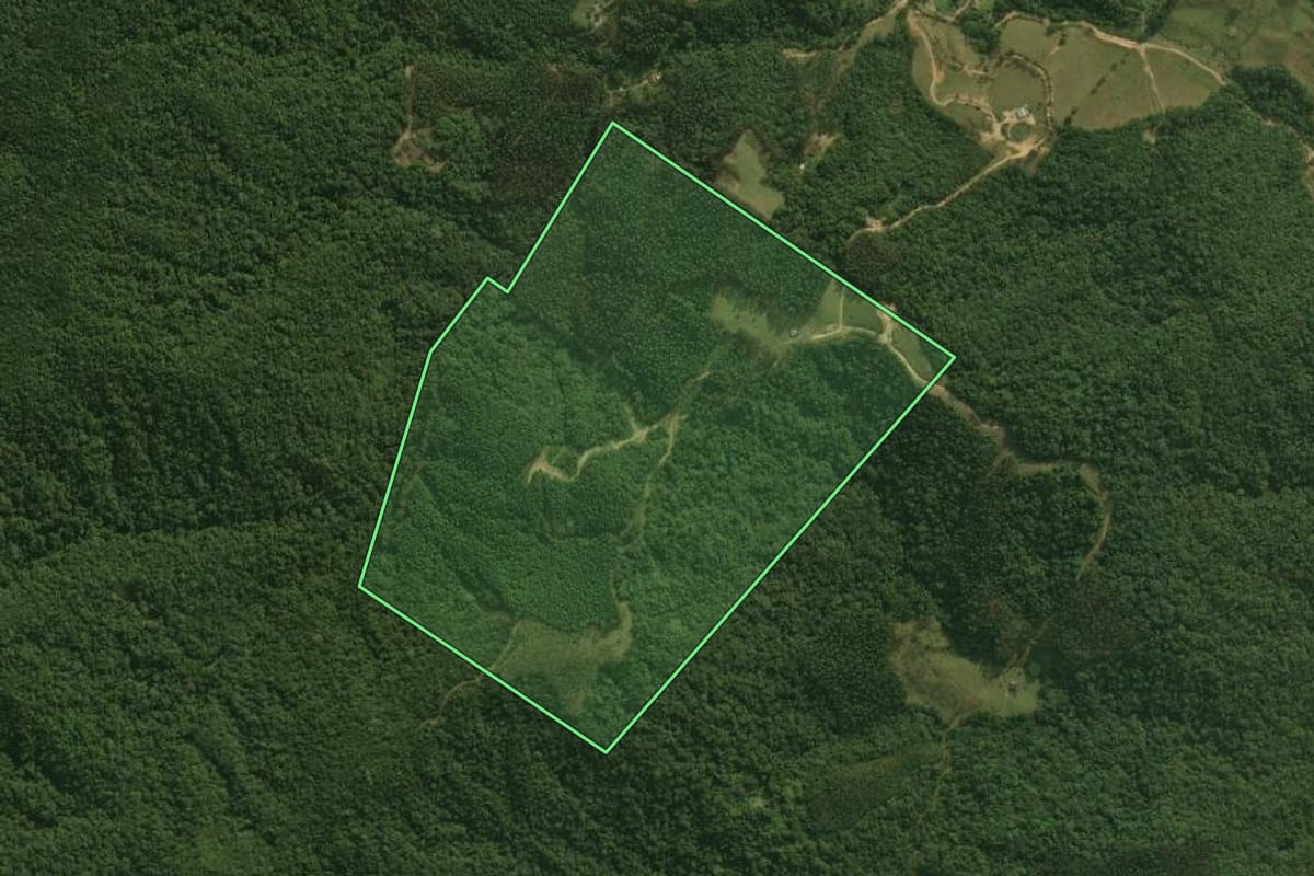 Imagem de satélite do imóvel rural em Águas Mornas (SC), com o contorno declarado no CAR desenhado por cima.