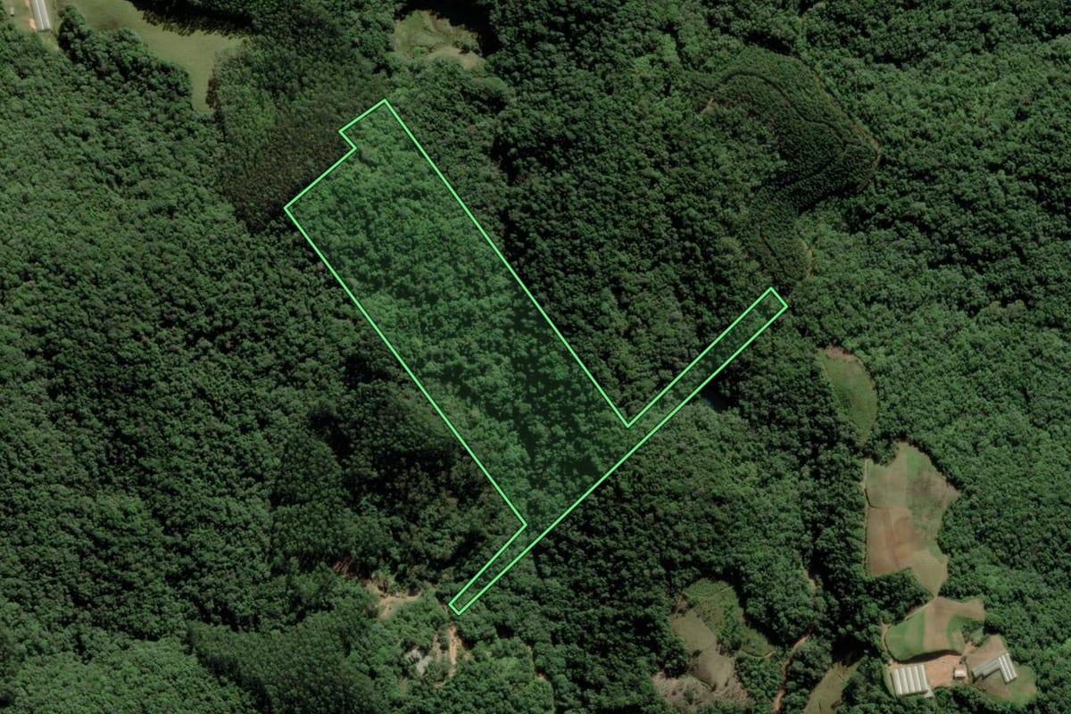 Imagem de satélite do imóvel rural em Águas Mornas (SC), com o contorno declarado no CAR desenhado por cima.