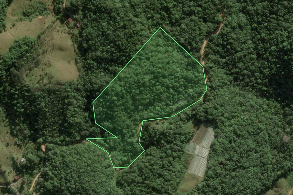 Imagem de satélite do imóvel rural em Águas Mornas (SC), com o contorno declarado no CAR desenhado por cima.