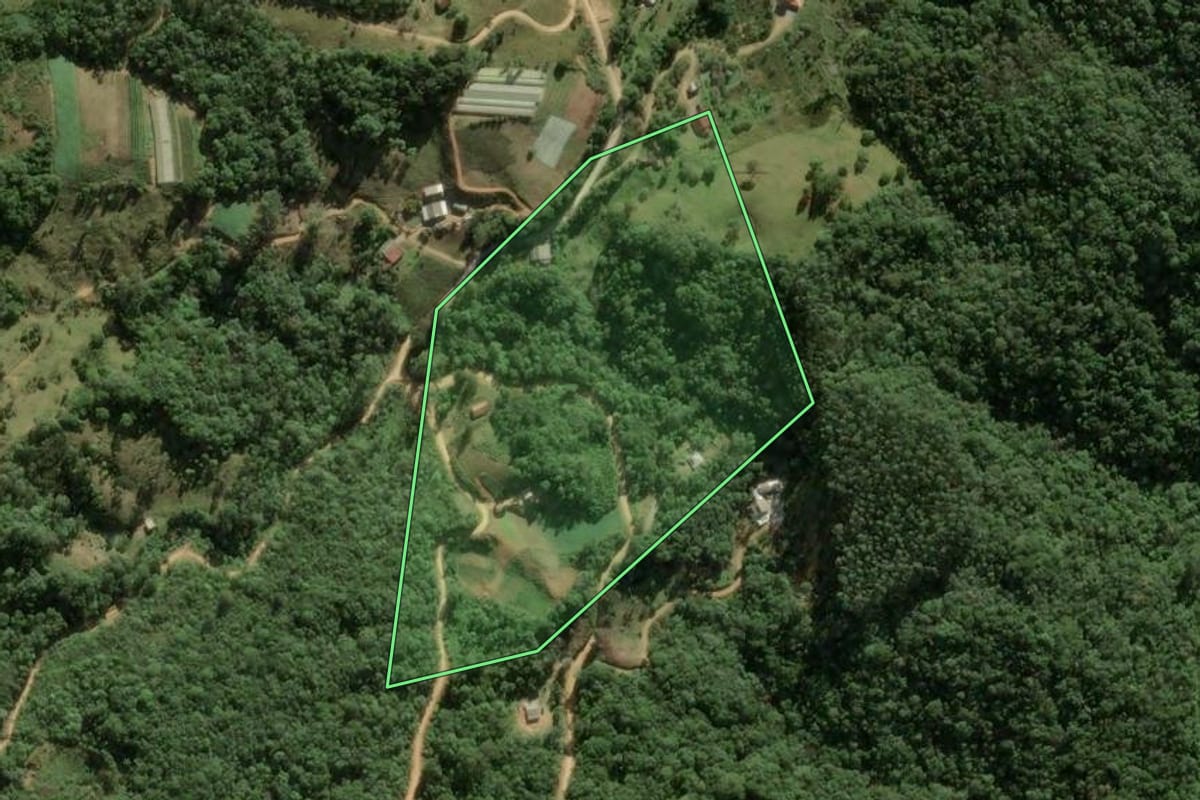 Imagem de satélite do imóvel rural em Águas Mornas (SC), com o contorno declarado no CAR desenhado por cima.
