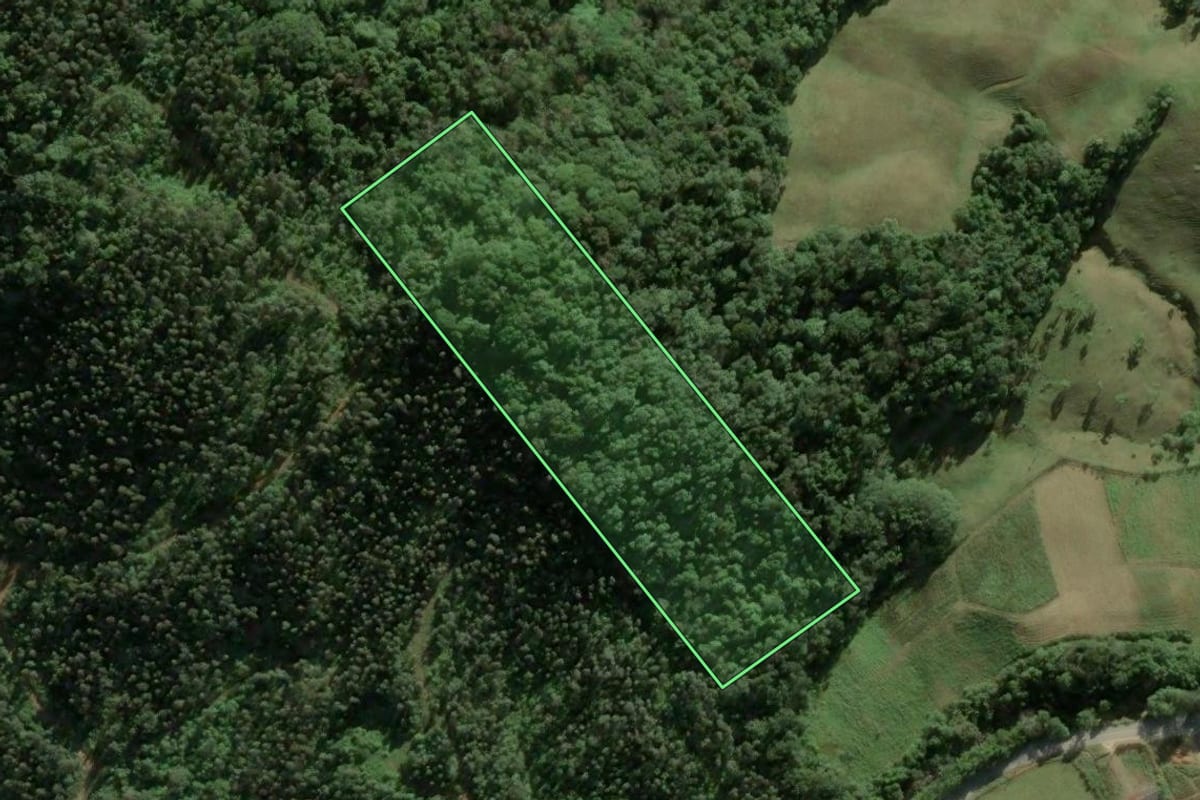 Imagem de satélite do imóvel rural em Águas Mornas (SC), com o contorno declarado no CAR desenhado por cima.