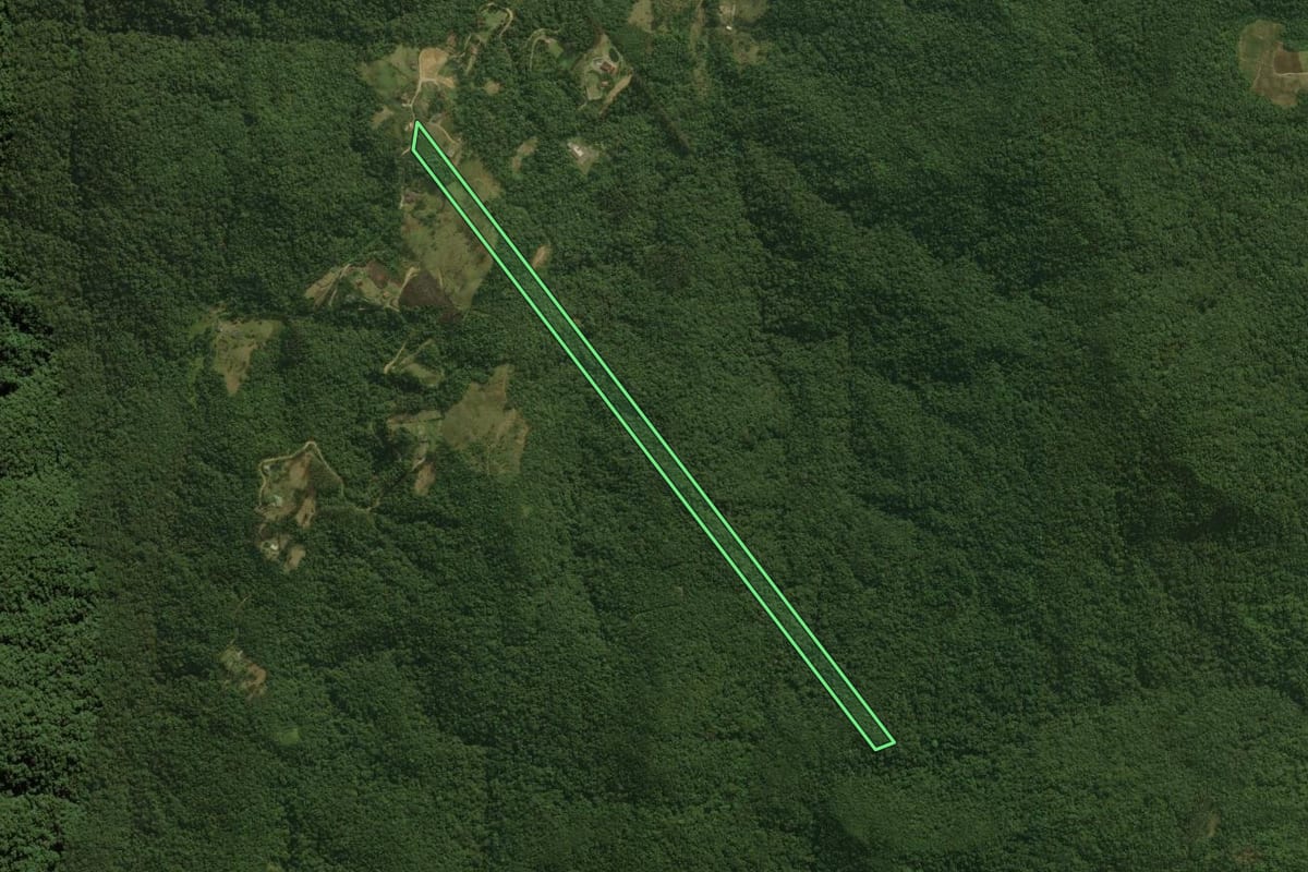 Imagem de satélite do imóvel rural em Águas Mornas (SC), com o contorno declarado no CAR desenhado por cima.