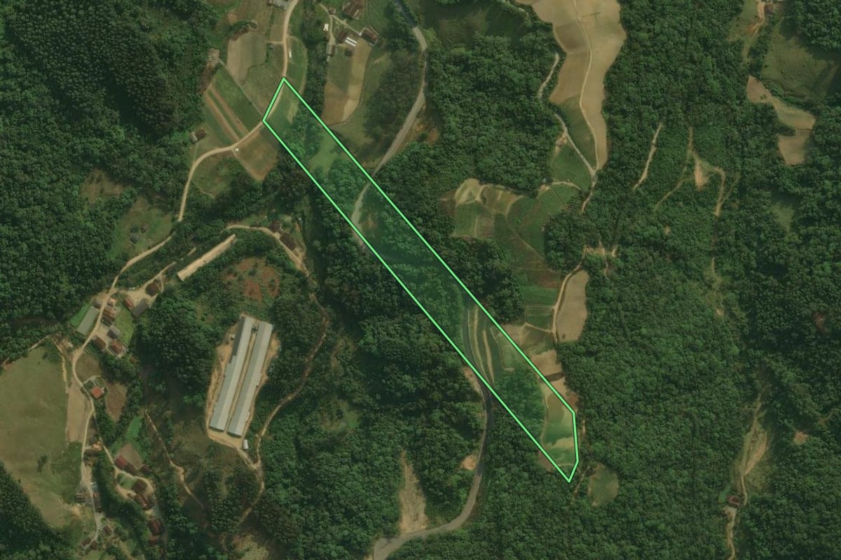 Imagem de satélite do imóvel rural em Águas Mornas (SC), com o contorno declarado no CAR desenhado por cima.