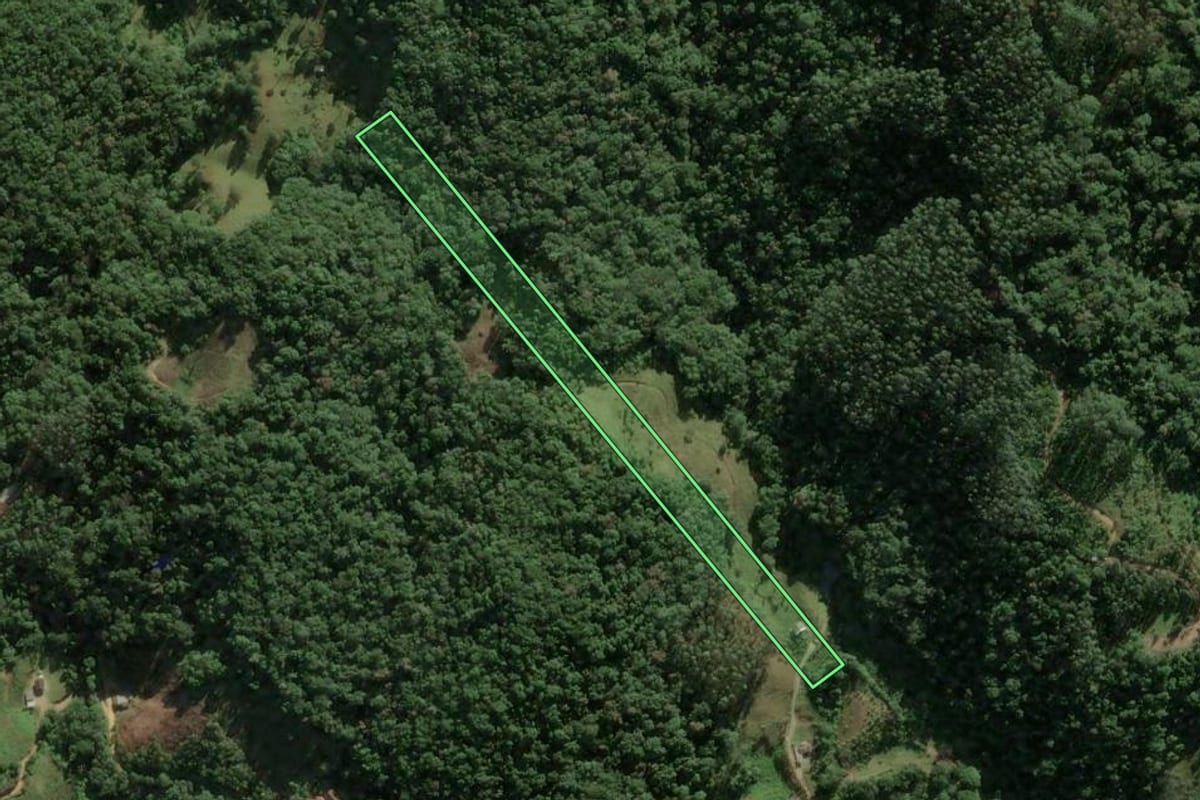 Imagem de satélite do imóvel rural em Águas Mornas (SC), com o contorno declarado no CAR desenhado por cima.
