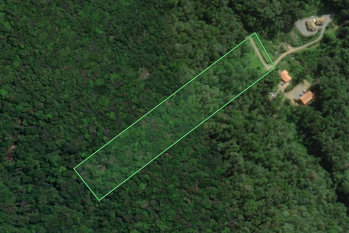 Imagem de satélite do imóvel rural em Águas Mornas (SC), com o contorno declarado no CAR desenhado por cima.