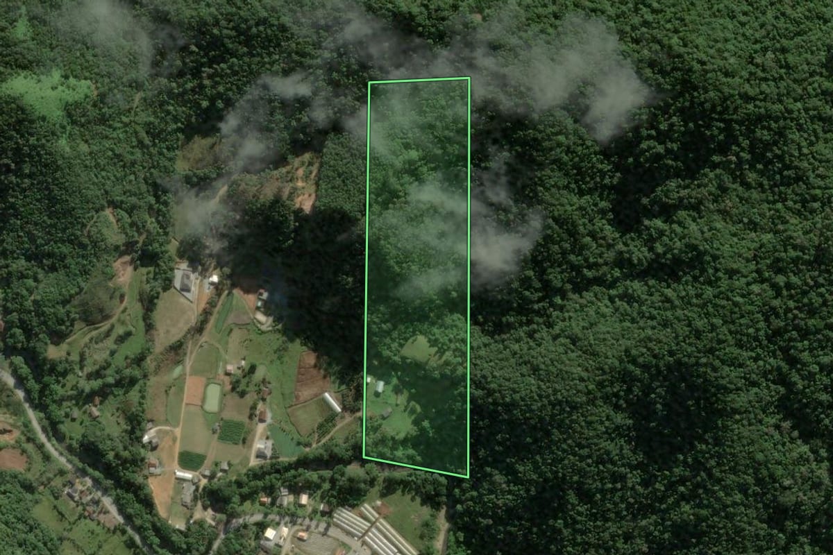 Imagem de satélite do imóvel rural em Águas Mornas (SC), com o contorno declarado no CAR desenhado por cima.