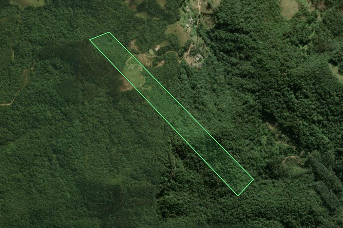 Imagem de satélite do imóvel rural em Águas Mornas (SC), com o contorno declarado no CAR desenhado por cima.