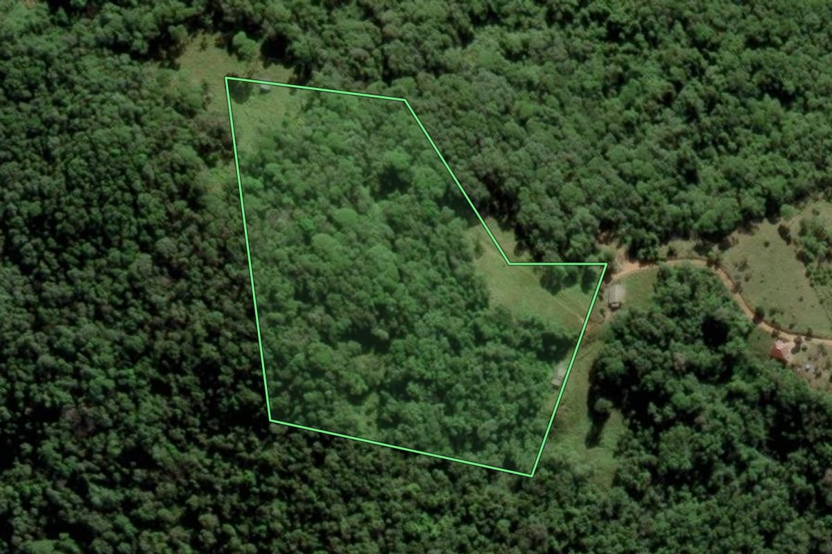 Imagem de satélite do imóvel rural em Águas Mornas (SC), com o contorno declarado no CAR desenhado por cima.