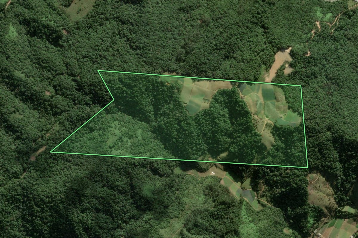 Imagem de satélite do imóvel rural em Águas Mornas (SC), com o contorno declarado no CAR desenhado por cima.