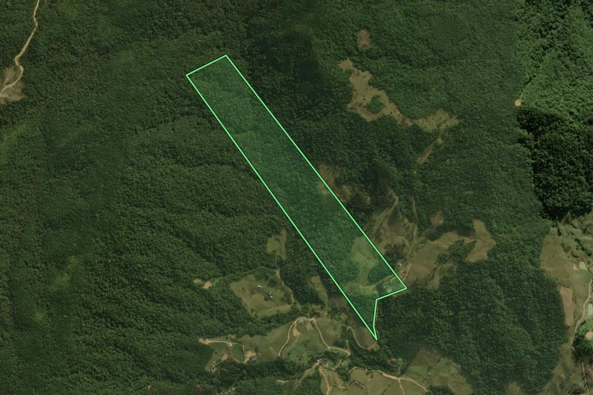 Imagem de satélite do imóvel rural em Águas Mornas (SC), com o contorno declarado no CAR desenhado por cima.