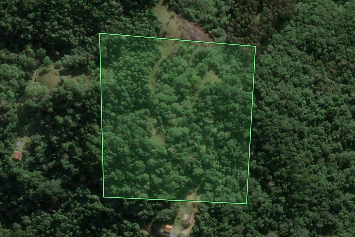 Imagem de satélite do imóvel rural em Águas Mornas (SC), com o contorno declarado no CAR desenhado por cima.