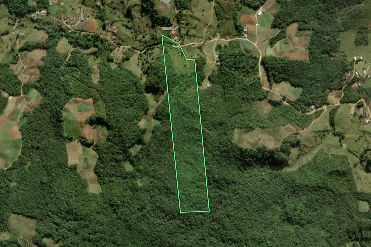 Imagem de satélite do imóvel rural em Águas Mornas (SC), com o contorno declarado no CAR desenhado por cima.